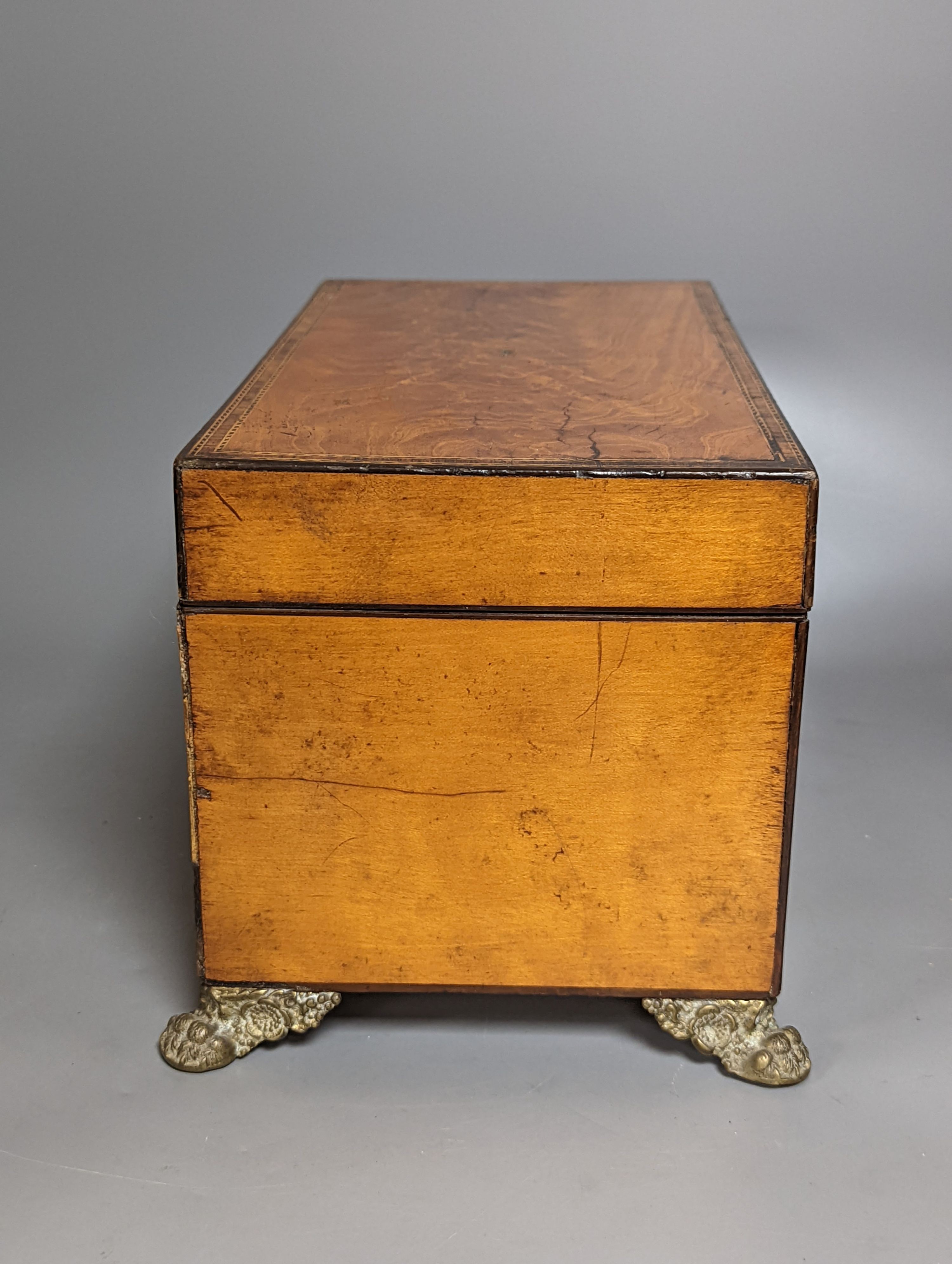 An early 19th century West Indian satinwood tea caddy 33cm